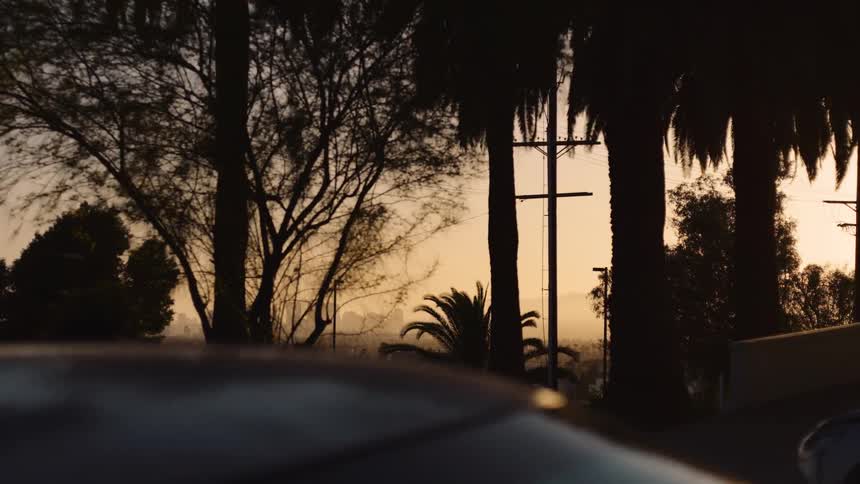 A slow dolly shot reveals the distant Los Angeles skyline through silhouetted palm trees against a warm sunset sky