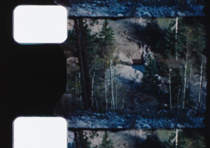 An archival film scan captures an aerial view of a rugged, rocky forest landscape with a dirt trail winding through the trees