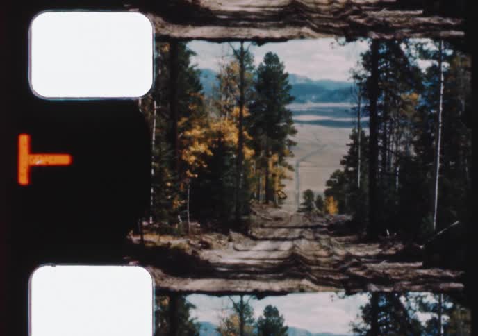 A vintage 8mm film scan reveals an autumn forest landscape with a dirt road leading to a distant valley