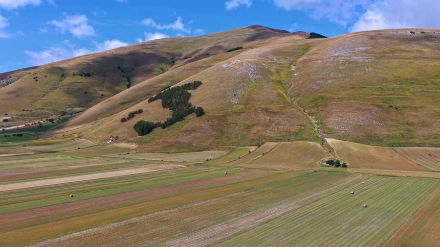 An expansive aerial view reveals the colorful patchwork of agricultural fields and rolling hills of Castelluccio, with a unique forest shaped like Italy on the mountainside