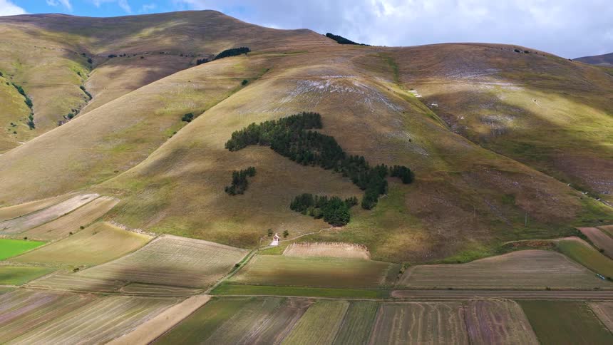 Aerial pull-back shot reveals a forest in the shape of Italy on a hillside surrounded by patchwork farmlands in Castelluccio di Norcia