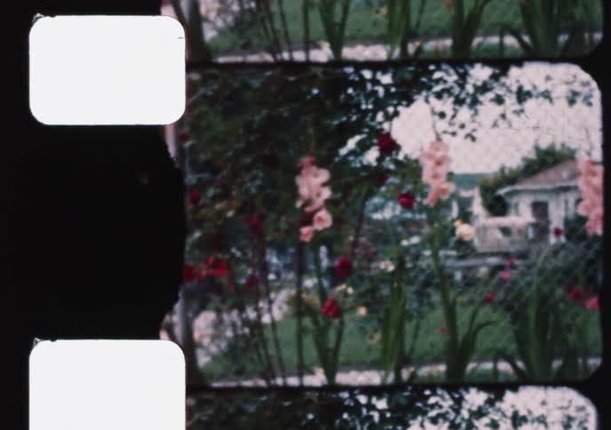 Vintage 8mm footage shows a young boy and a toddler playing in a vibrant flower garden