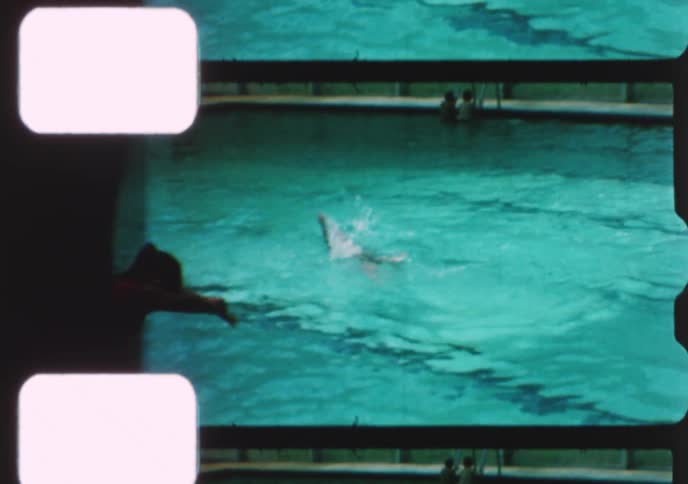 Vintage 8mm film shows children and adults enjoying a day of swimming and playing at a covered pool