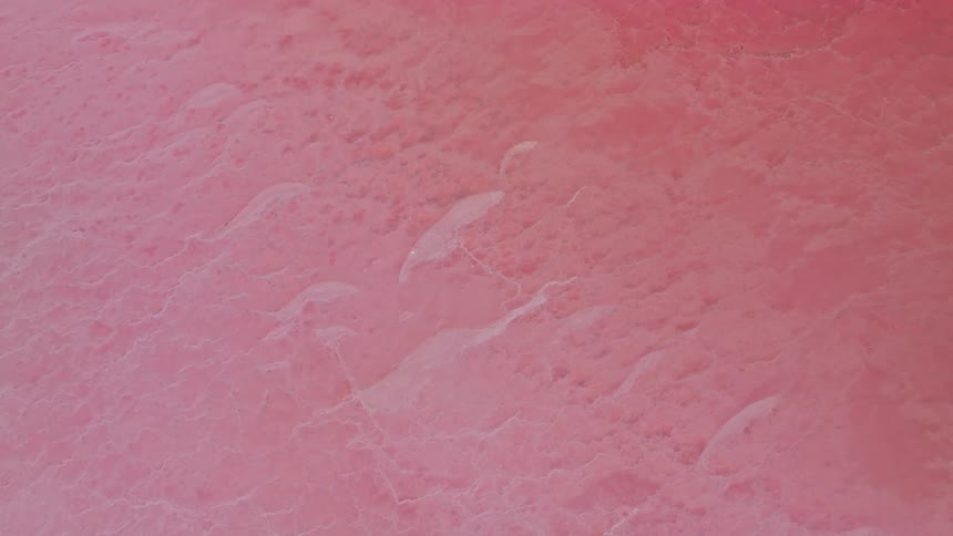 A serene, static overhead shot of the unique, textured surface of a vibrant pink salt lake