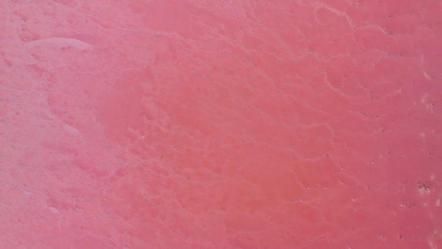 Top-down aerial shot ascends from the textured surface of a vibrant pink salt lake, revealing its unique shoreline