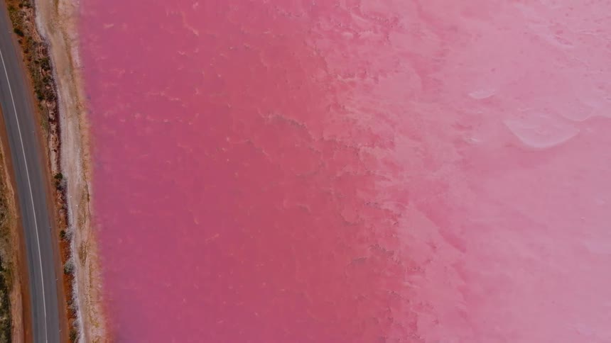 A top-down aerial view captures a lone car driving on a road alongside the surreal and vibrant pink waters of a salt lake