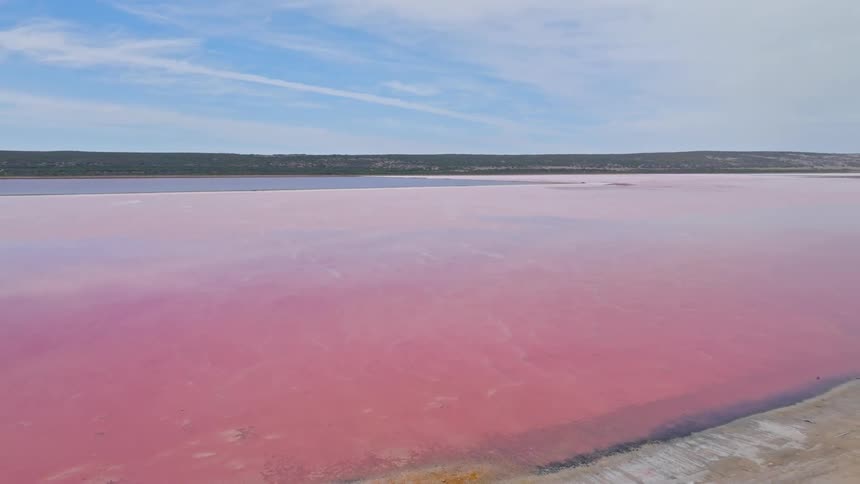 Slow aerial pan reveals the stunning and vast pink salt lake under a beautiful blue sky
