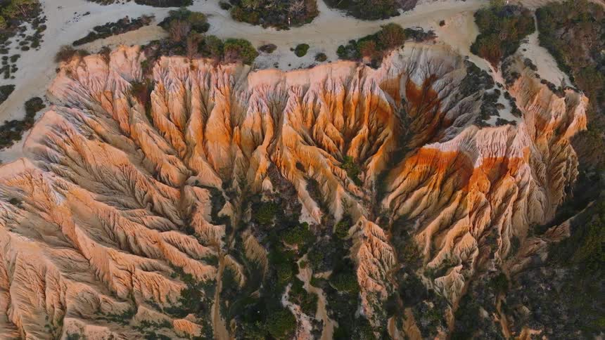A stunning aerial top-down view captures the beautifully eroded, multi-colored sand cliffs of a vast canyon adjacent to a lush forest