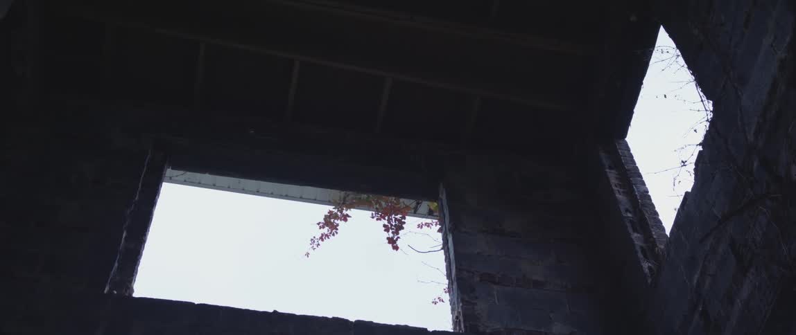View from inside looking out in an old, abandoned building