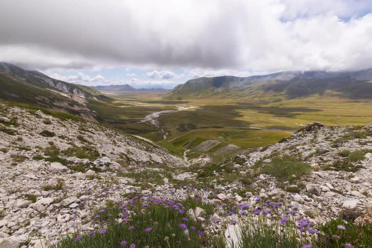 A beautiful timelapse of dramatic clouds moving over a vast green valley surrounded by rocky mountains, with purple wildflowers in the foreground