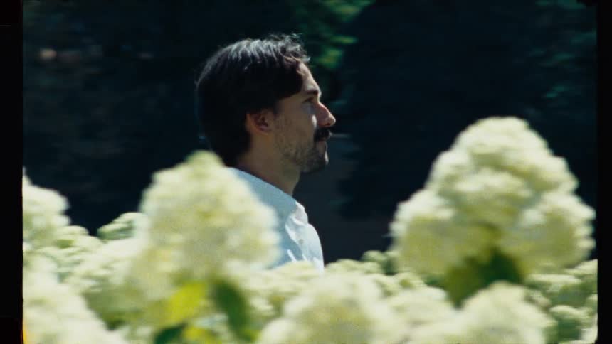 Vintage film shot of a man walking thoughtfully through a garden of blooming white hydrangeas