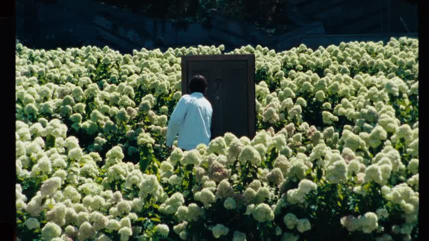 A man in a white coat opens a mysterious door labeled with the number seven and steps through it while in a field of white flowers