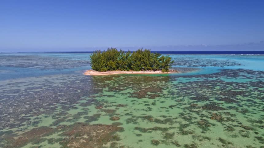 Stunning aerial footage flies from a small boat towards a remote, tree-covered islet surrounded by clear turquoise water and coral reefs