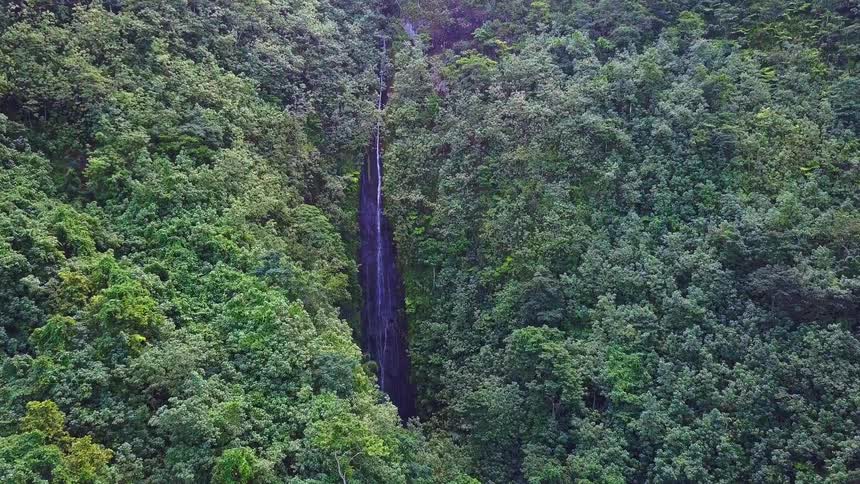 An aerial view slowly approaches a magnificent, slender waterfall cascading down a cliff face surrounded by a dense, lush green jungle