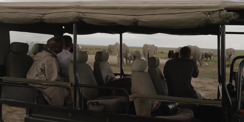 People on a safari watch elephants