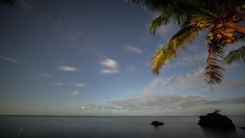 A stunning time-lapse captures the Milky Way galaxy moving across the night sky and into dawn over a calm tropical ocean with a palm tree in the foreground