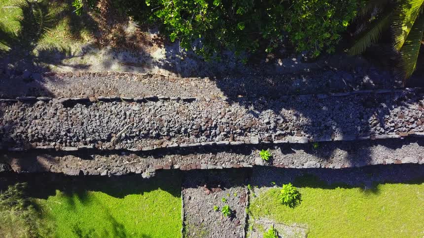 A slow aerial reveal of the ancient Marae Taputapuatea ruins, a sacred Polynesian site nestled among lush palm trees