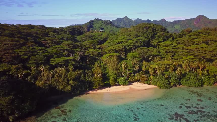 A stunning aerial pullback reveals a secluded beach cove nestled in a dense tropical jungle on a beautiful island
