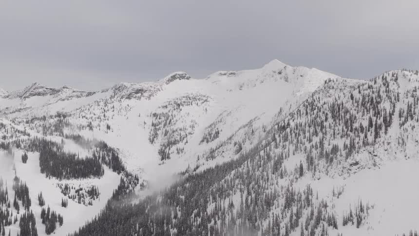 Static aerial shot of a vast, desolate winter mountain landscape covered in deep snow and pine trees