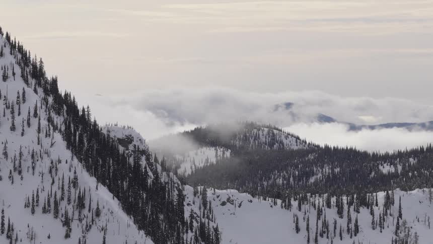 An aerial view slowly reveals a majestic snow-covered mountain range dotted with pine trees as clouds drift through the valleys