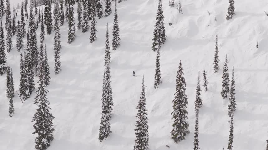 Slow motion aerial footage follows a lone snowboarder as they navigate deep powder and tall pine trees on a vast snowy mountainside