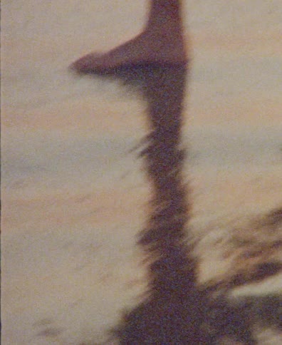 Abstract, grainy vintage footage captures the shadow and reflection of a person walking barefoot in shallow water at the beach