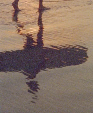 A surfer's silhouette and reflection are captured in the golden light of sunset as they walk barefoot with their board along the shoreline