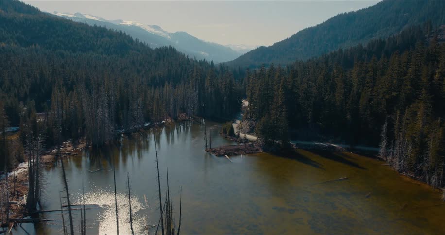 A slow aerial push-in over a serene mountain lake surrounded by a vast evergreen forest and snow-capped peaks in the distance
