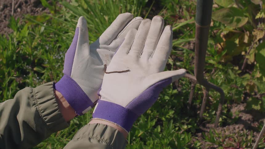Close-up of a gardener holding a live earthworm in their gloved hand in a sunny garden