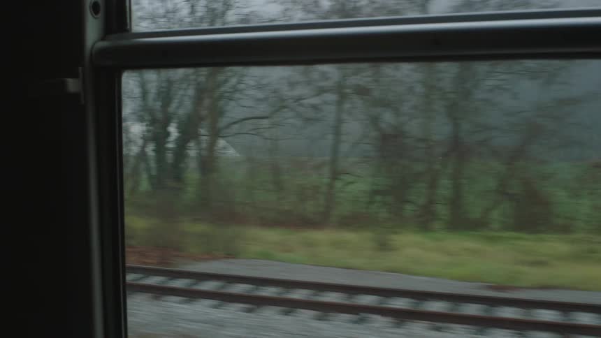 The passing foggy landscape with bare trees and railroad tracks is seen from a moving train window on a dreary day