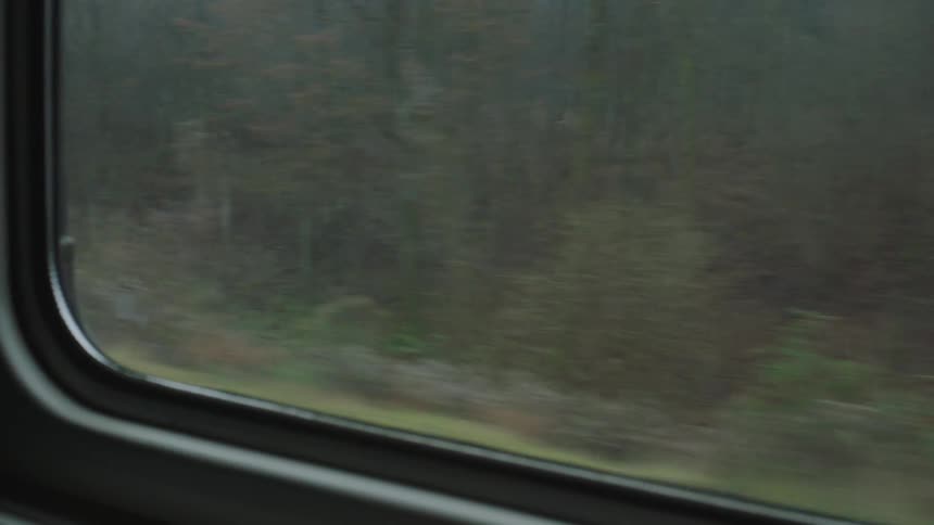 A moody, overcast landscape speeds by as seen from a moving train window
