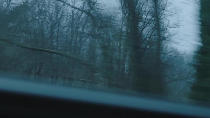 A moody, blurry view of a passing winter forest from the window of a moving vehicle on a dreary day