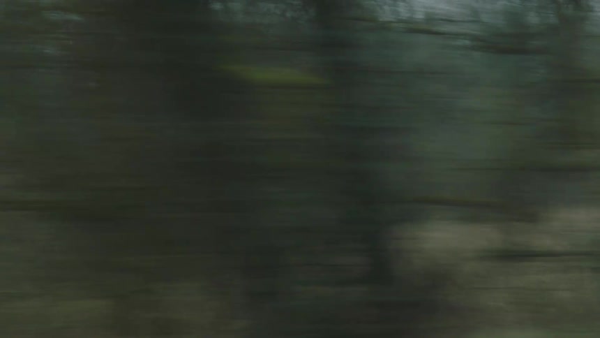 A motion-blurred view from a moving vehicle passes a gloomy, wooded landscape before slowing to reveal the melancholic scenery