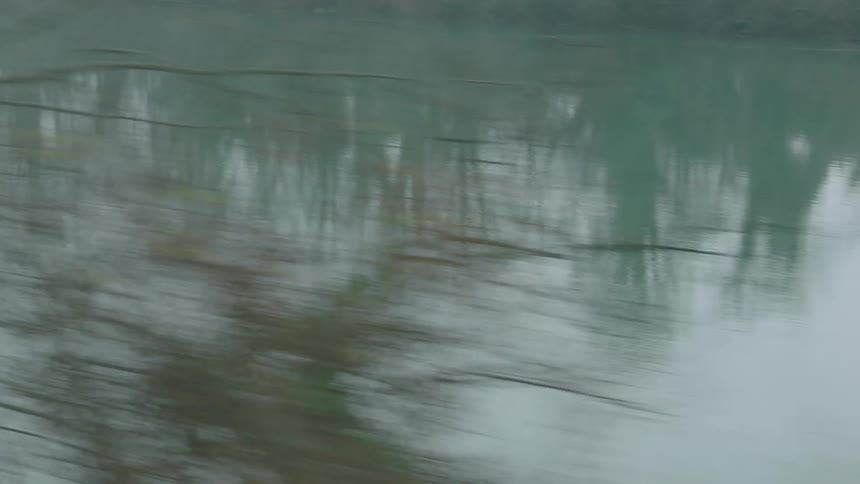 A fast-moving, abstract view from a window captures the blurry reflections of trees on the surface of a murky river