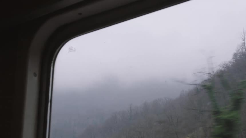 A pensive view from a moving train window reveals a foggy, barren forest on a gloomy day