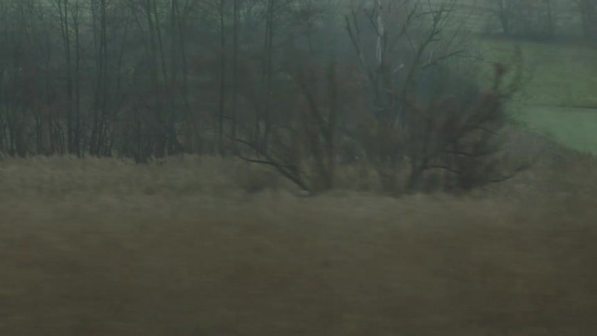 A moving side-view perspective of a bleak and foggy rural landscape with leafless trees and distant hills