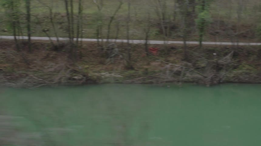 Side view from a moving vehicle captures the green river and tree-lined bank passing by