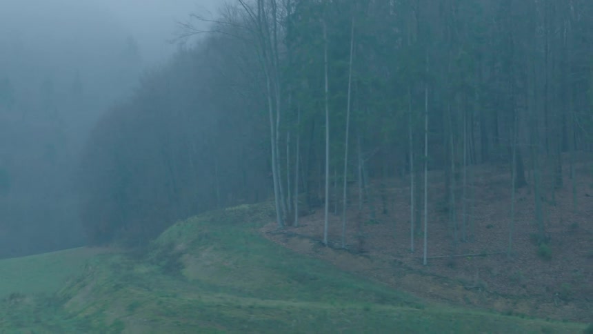 A passenger's view from a moving train reveals a foggy forest and rolling green hills on a moody day