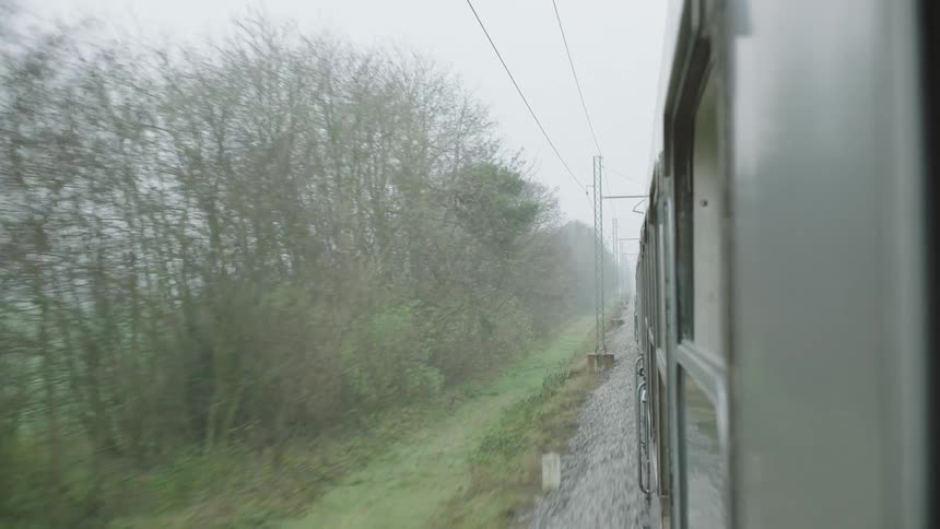 Point-of-view from a moving train looking along the side of the cars as it travels through a foggy, autumnal landscape