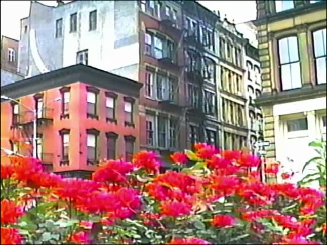 Vintage VHS footage captures a city street corner with vibrant flowers in the foreground and classic apartment buildings with fire escapes