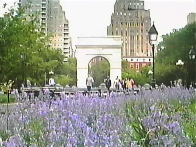 Vintage footage zooms out from a bed of purple flowers to reveal the iconic Washington Square Arch in New York City
