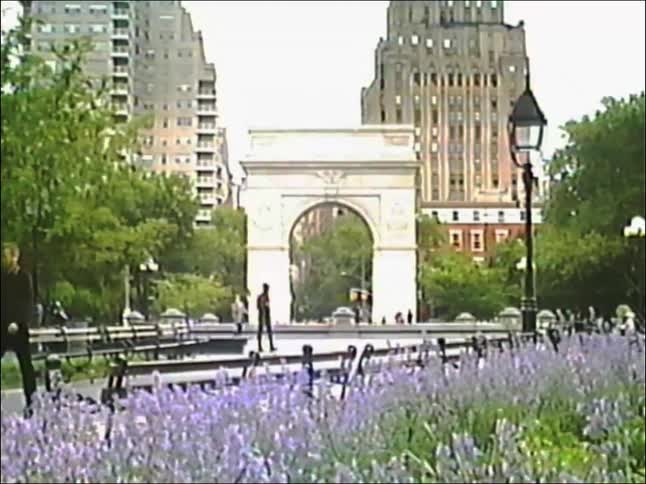 A vintage, wide shot of Washington Square Arch in New York City with purple flowers in the foreground as people stroll through the park