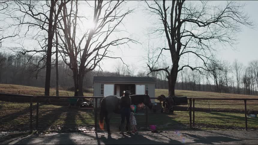 A mother and her young daughter share a quiet moment grooming their horse together on a sunny rural farm