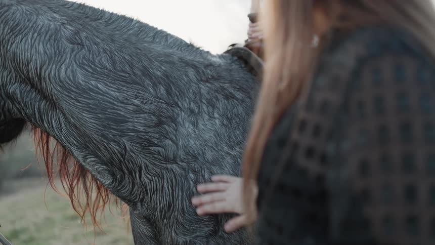 A woman's hand gently caresses the wet, wavy coat of a beautiful grey horse in slow motion
