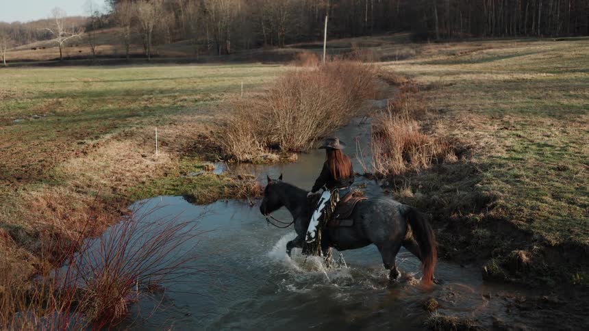 High angle slow motion shot of a cowgirl riding her horse upstream through a creek in a rural pasture
