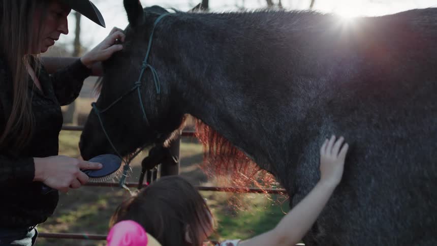 A cowgirl mother and her young daughter gently groom their grey horse together in the warm glow of sunset on the farm