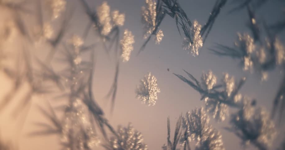 A mesmerizing macro close-up of intricate ice crystals and frost patterns gleaming in the warm light