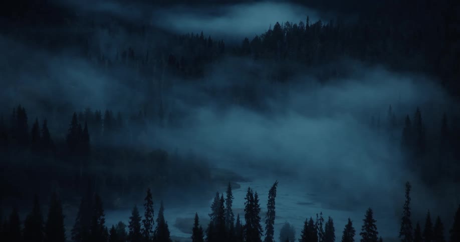 Eerie, thick fog rolls through a dark, mysterious mountain forest at night