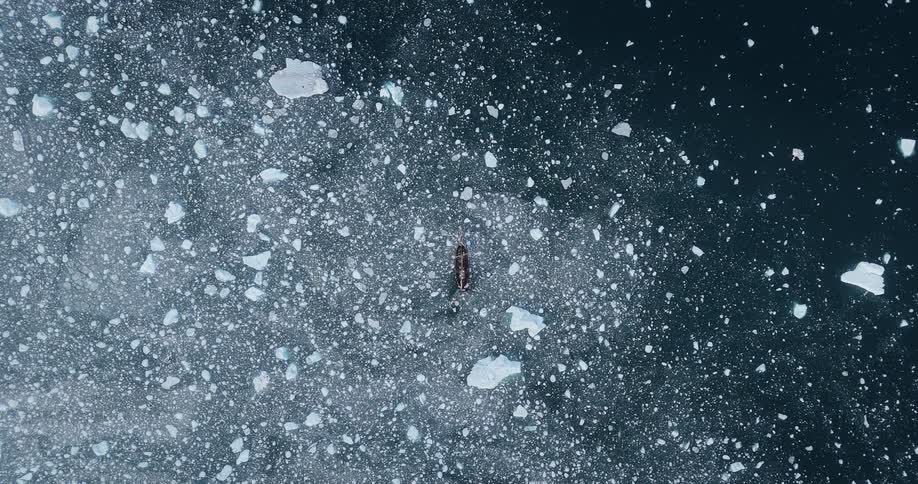 A top-down aerial view shows a lone wooden boat peacefully adrift in a sea of broken ice in the vast, cold ocean