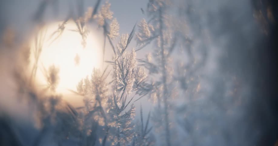 Focus pulls through intricate ice frost patterns on glass with the warm winter sun glowing softly in the background